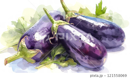 水彩画で描いた新鮮な茄子のイラスト素材 [121558069] - PIXTA