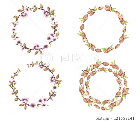 Almond nuts and spring tree blooming branch with leaves and flowers wreaths set. Botanical circle frame. Watercolor illustration hand drawn. template for food, cosmetic label Isolated from background Almond nuts and spring tree blooming branch with leaves and flowers wreaths set. Botanical circle frame. Watercolor illustration hand drawn. template for food, cosmetic label Isolated from background 121558141