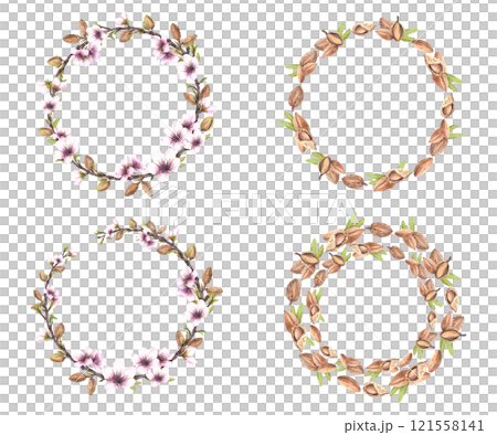 Almond nuts and spring tree blooming branch with leaves and flowers wreaths set. Botanical circle frame. Watercolor illustration hand drawn. template for food, cosmetic label Isolated from background  121558141