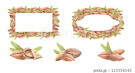 Almond nuts with leaves. Rectangular frame, banner, template set. Closeup Pile of peeled kernel. Watercolor hand drawn illustration. Vegan stone fruit, food, snack label, menu on isolated background 121558142