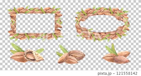 Almond nuts with leaves. Rectangular frame, banner, template set. Closeup Pile of peeled kernel. Watercolor hand drawn illustration. Vegan stone fruit, food, snack label, menu on isolated background 121558142