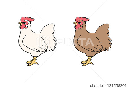 色違いの雌の鶏 121558201