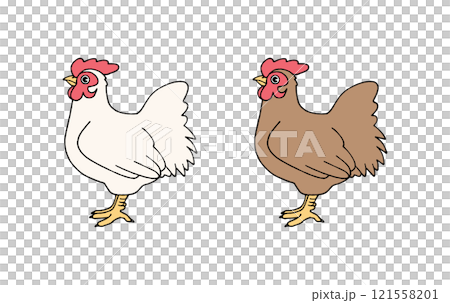 色違いの雌の鶏 121558201