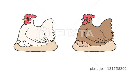 卵を温める色違いの雌の鶏 卵を温める色違いの雌の鶏 121558202