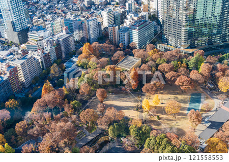 「東京都」都庁から眺める紅葉の新宿中央公園 「東京都」都庁から眺める紅葉の新宿中央公園 121558553