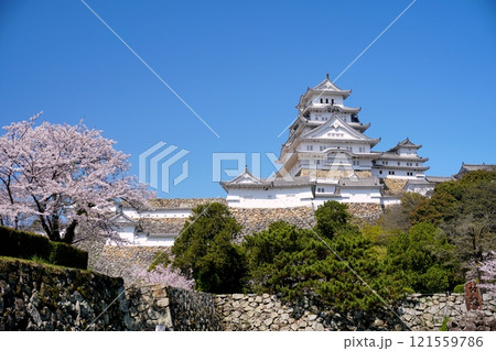 姫路城喜斎門跡付近から望む青空を背景にした姫路城大天守の眺め　Ver2 121559786