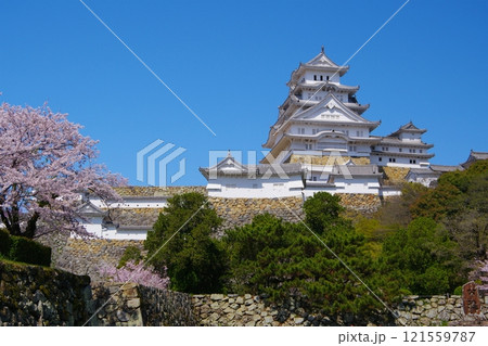 姫路城喜斎門跡付近から望む青空を背景にした姫路城大天守の眺め　Ver1 121559787