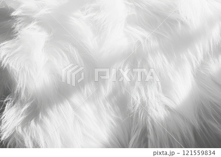 A close up of a fluffy white fur, possibly from a sheep or a cat. The fur is long and soft, giving the impression of warmth and comfort 121559834