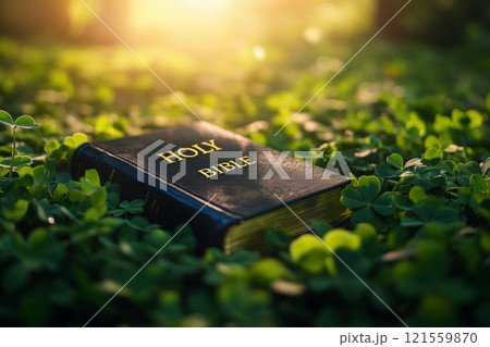 a bible book lying on the green clover leaves. sun light on background. 121559870