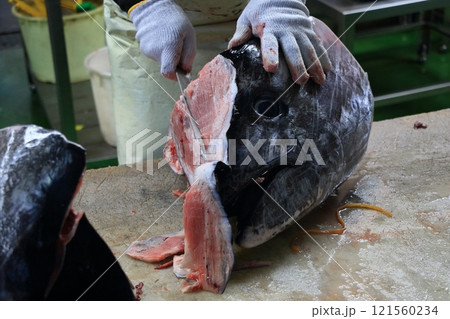 マグロ職人に解体される生の本マグロ マグロ職人に解体される生の本マグロ 121560234
