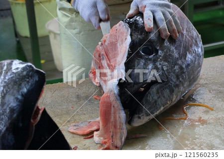 マグロ職人に解体される生の本マグロ マグロ職人に解体される生の本マグロ 121560235
