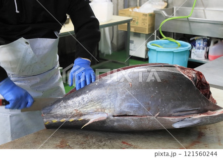 マグロ職人に解体される生の本マグロ 121560244