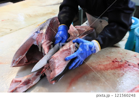 マグロ職人に解体される生の本マグロ 121560248