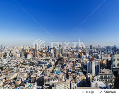 東京スカイツリーと文京区・台東区周辺 121560980