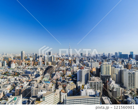 東京スカイツリーと文京区・台東区周辺 東京スカイツリーと文京区・台東区周辺 121560981