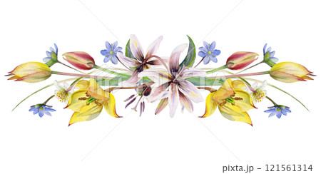 Spring flowers, yellow and red tulip crocus saffron, erythronium fawn trout lily, grass blades hand drawn in watercolor. Composition illustration isolated on white. Wedding, florist shop, stationery Spring flowers, yellow and red tulip crocus saffron, erythronium fawn trout lily, grass blades hand drawn in watercolor. Composition illustration isolated on white. Wedding, florist shop, stationery 121561314