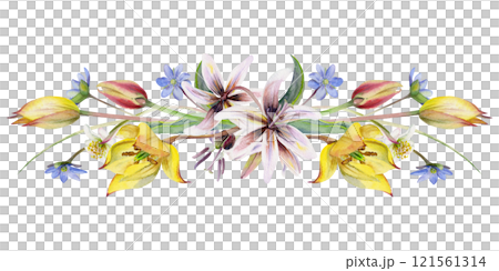 Spring flowers, yellow and red tulip crocus saffron, erythronium fawn trout lily, grass blades hand drawn in watercolor. Composition illustration isolated on white. Wedding, florist shop, stationery Spring flowers, yellow and red tulip crocus saffron, erythronium fawn trout lily, grass blades hand drawn in watercolor. Composition illustration isolated on white. Wedding, florist shop, stationery 121561314