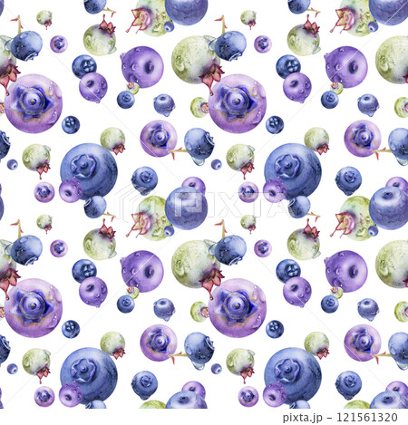 Blueberry blackberry, hand drawn in watercolor, group of flying ripe forest berry with drops, blue and purple. Seamless pattern illustration isolated on white. Restaurant, cafe menu, farmers market 121561320