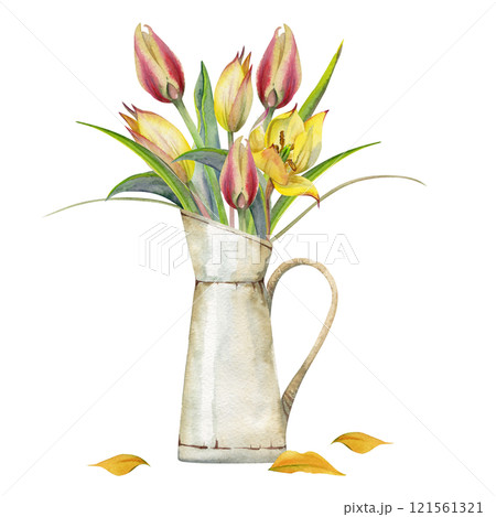 Spring flowers, yellow and red tulip in vintage milk jug vase hand drawn in watercolor. Bouquet botanical illustration, bulbous wildflowers with petals, green leaves. Wedding stationery, florist shop. 121561321