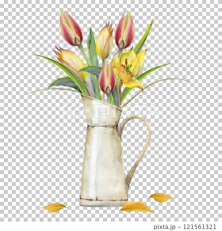 Spring flowers, yellow and red tulip in vintage milk jug vase hand drawn in watercolor. Bouquet botanical illustration, bulbous wildflowers with petals, green leaves. Wedding stationery, florist shop. 121561321