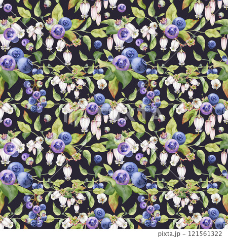 Blackberry blueberry, white bell flowers, green leaves, hand drawn in watercolor, forest berry on branches. Seamless pattern garland isolated illustration. Scrapbooking paper, menu, farmers market. 121561322