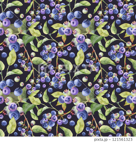 Blueberry blackberry with green leaves, hand drawn in watercolor, forest berry in group clusters on branches. Seamless pattern isolated on dark. Restaurant, cafe menu, wedding paper, farmers market 121561323