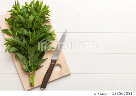 Bunch of fresh mint on the cutting boards, colored background top view 121562051