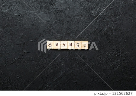 SAVAGE word written on wood block. SAVAGE text on cement table for your desing, concept 121562627
