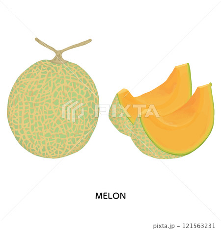 夕張メロン　色鉛筆タッチのイラスト 121563231