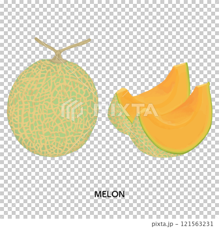夕張メロン　色鉛筆タッチのイラスト 121563231
