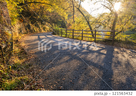 山梨県　紅葉の御嶽昇仙峡　夕焼け　一本道 121563432