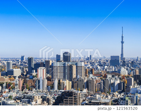 東京スカイツリーと文京区・台東区周辺 東京スカイツリーと文京区・台東区周辺 121563520
