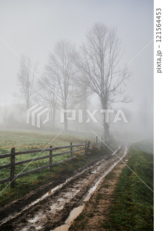 Grassy hills with road path trail, wooden fence and misty trees surrounded by dense fog 121564453