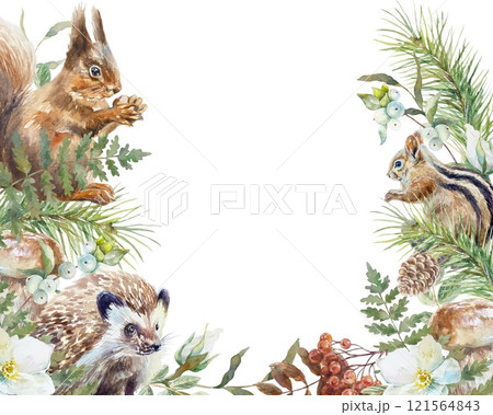 Floral frame with forest animals, squirrel, hedgehog, chipmunk, fir branches, flowers. Watercolor illustration isolated. Cards, invitations, banners. 121564843