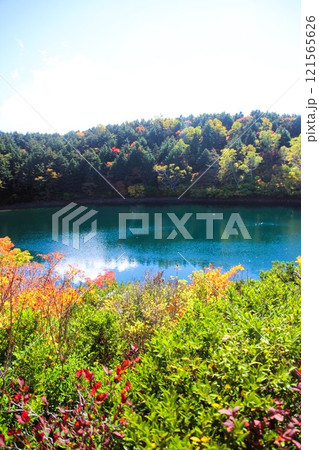 樋沼 樋沼 121565626