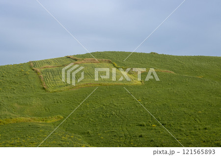Green fields in the centre of island, Sicily, Italy Green fields in the centre of island, Sicily, Italy 121565893