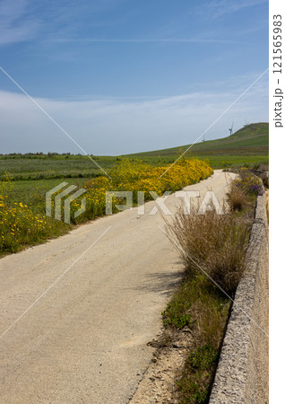 Dusty road across the green country, Sicily, Italy 121565983