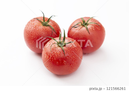 白背景にみずみずしいトマト 白背景にみずみずしいトマト 121566261