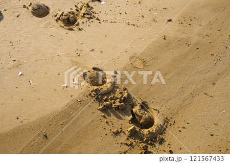 horse tracks in the sand. microplastics in the sand at sea 121567433