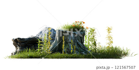PNG transparent tree stump with grass and flower 121567507