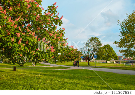 A cozy European park in the center of Krakow. Tourists walk and enjoy a summer evening in a lush park in Poland. A cozy European park in the center of Krakow. Tourists walk and enjoy a summer evening in a lush park in Poland. 121567658