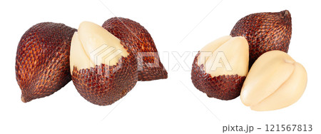 Salak snake fruit isolated on white background with full depth of field Salak snake fruit isolated on white background with full depth of field 121567813