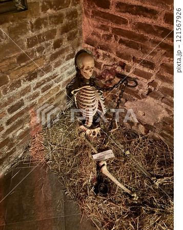 Skeleton in Medieval Dungeon with Chains and Straw 121567926