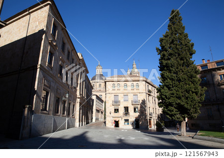Pontifical University of Salamanca, Spain 121567943