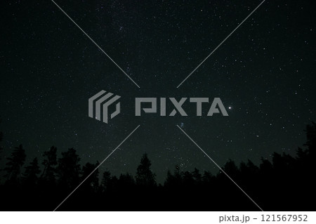 Stars twinkle brightly over a dark forest at night in a remote location 121567952
