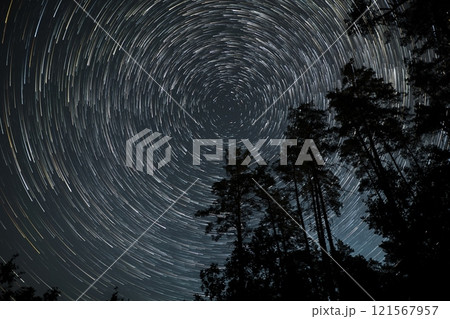 Star trails over a forest at night create a mesmerizing celestial display amidst towering trees 121567957