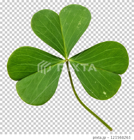 reen shamrock leaf isolated on the transparent background 121568263