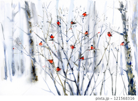 Winter snowy forest background.. Watercolor illustration. Winter snowy forest background.. Watercolor illustration. 121568316