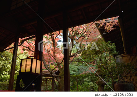秋の桂春院　書院から見る侘の庭 121568552