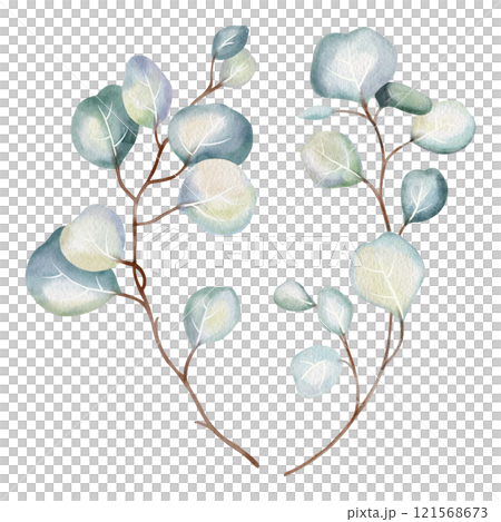 Hand-drawn watercolor illustration of two elegant eucalyptus branches with lush, aromatic leaves. Perfect for wedding invitations, botanical prints, minimalist home decor, romantic greeting cards. Hand-drawn watercolor illustration of two elegant eucalyptus branches with lush, aromatic leaves. Perfect for wedding invitations, botanical prints, minimalist home decor, romantic greeting cards. 121568673